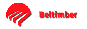 logo big